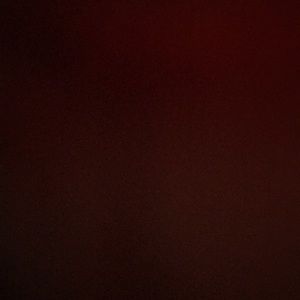 Meet your Posher, Tamara